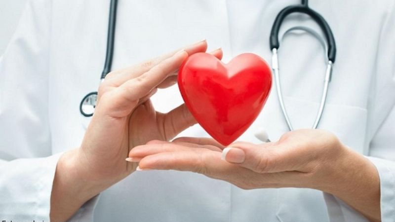 Se realizaron 530 trasplantes en el país, en lo que va de la pandemia