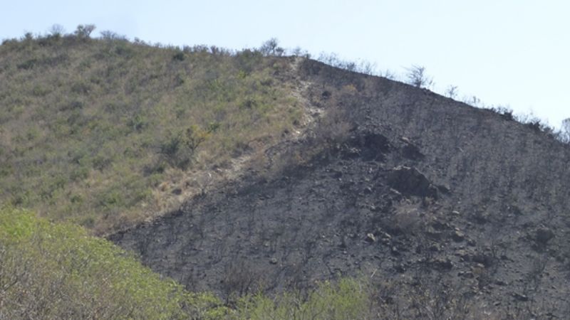 Después del fuego: apuntes para el mundo que se viene