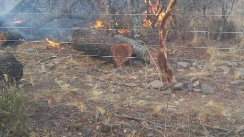 El fuego en La Yerba fue controlado