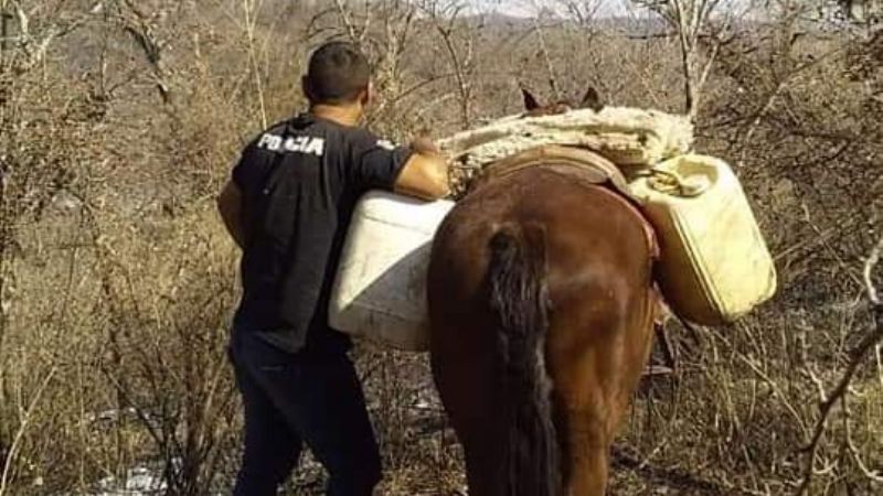 El fuego en La Yerba fue controlado