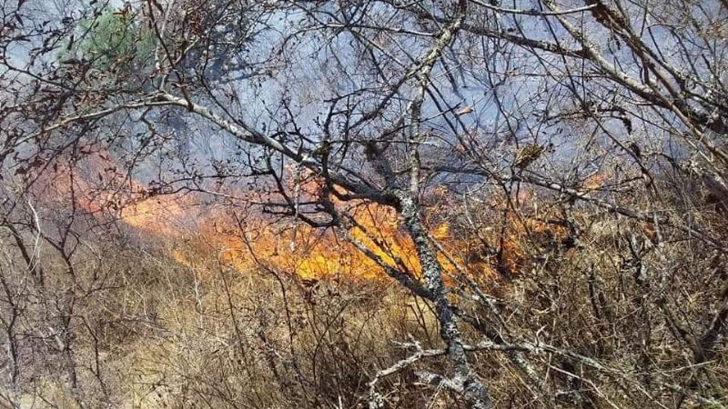 El fuego en La Yerba fue controlado