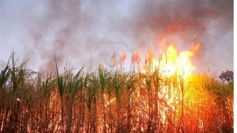 Sofocaron un incendio de cañaverales en Fray Mamerto Esquiú