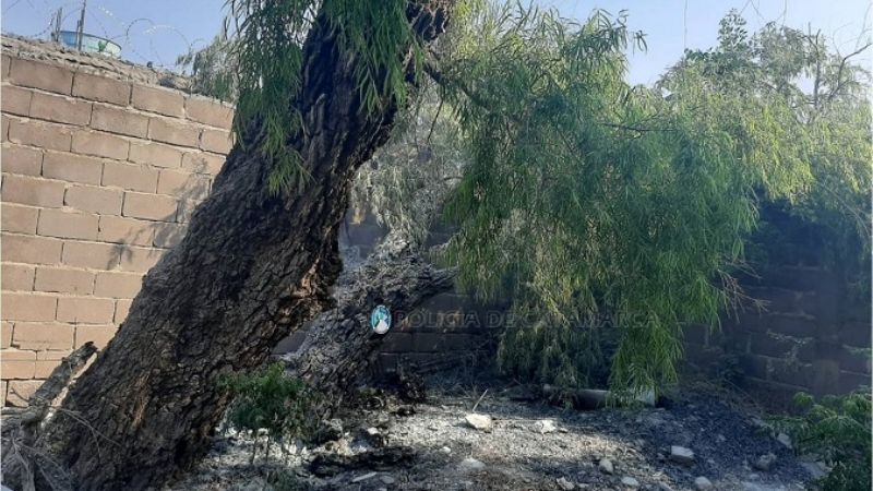 Sofocan incendio en el patio de una casa