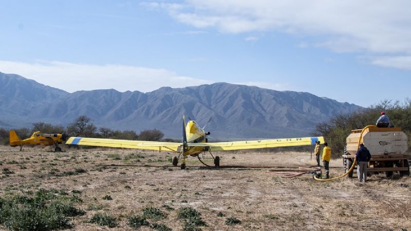 Combaten el incendio forestal al sur de Las Lajas