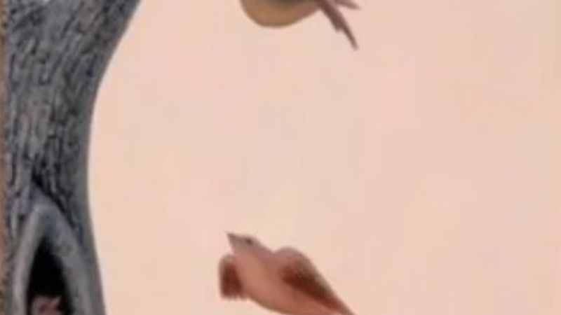 ¿Qué ves primero? El test visual que revela tu mayor deseo