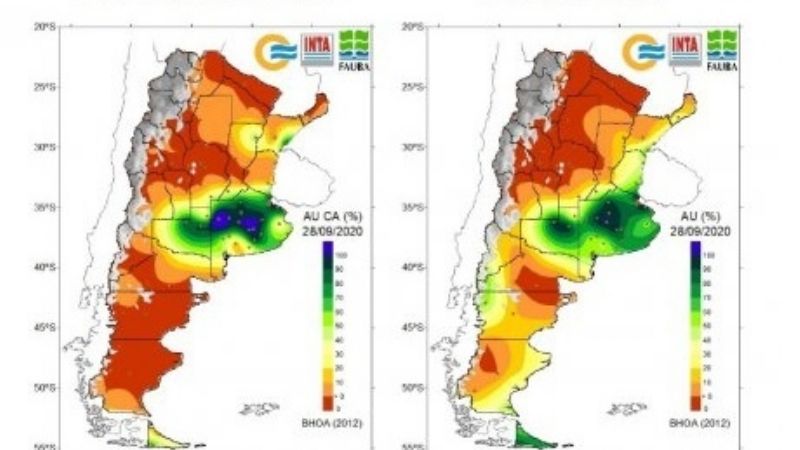 Por la sequía, ya está afectada parte de la producción de limones