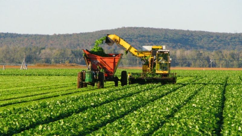 El 22% del empleo nacional viene de la agroindustria, según un informe
