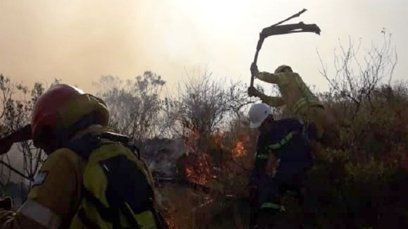 Gran despliegue de brigadistas y bomberos para contener el incendio del Ambato