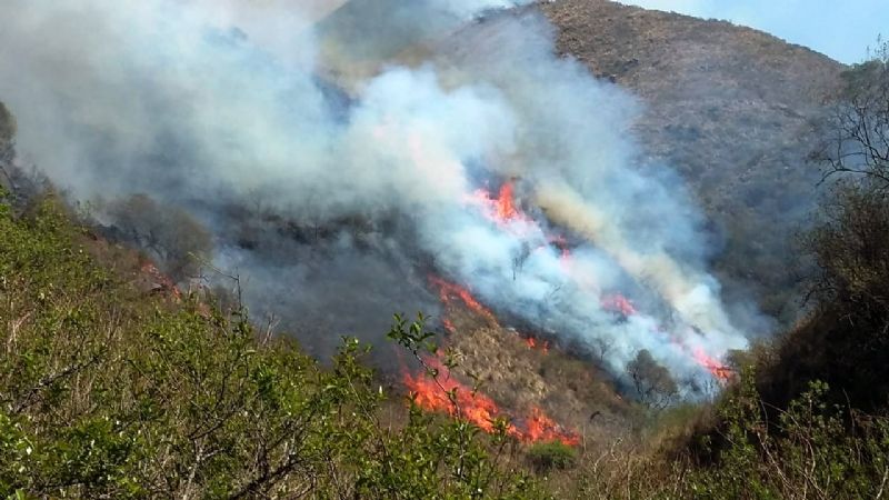 Gran despliegue de brigadistas y bomberos para contener el incendio del Ambato