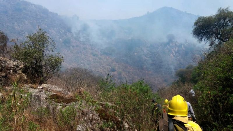 Gran despliegue de brigadistas y bomberos para contener el incendio del Ambato
