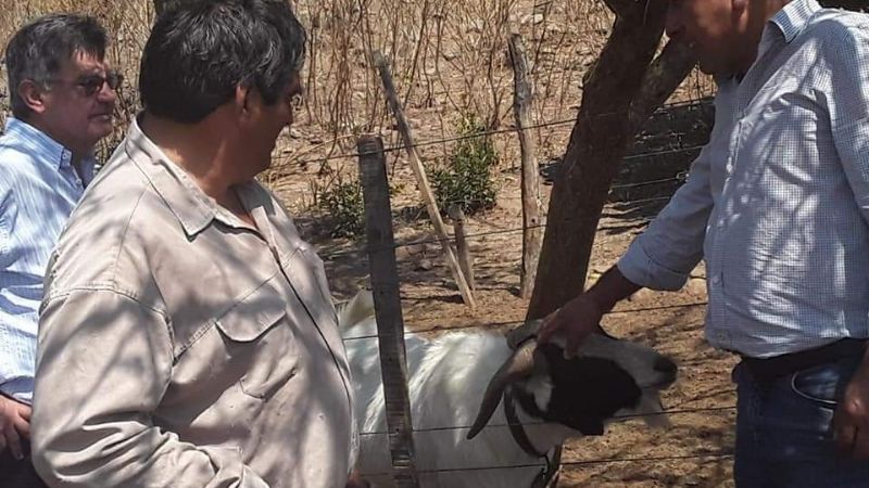 Agricultura y Ganadería visitó a productores de Ancasti