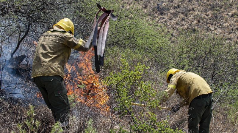 “Tenemos una temporada de incendios sin precedentes”