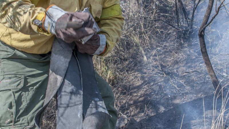 “Tenemos una temporada de incendios sin precedentes”