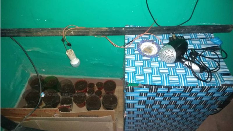 Denunció a su hijo por tener platines de marihuana en la habitación