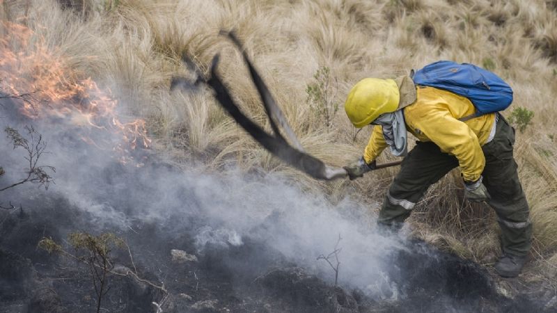 Los Ángeles suma el tercer incendio forestal en lo que va del año