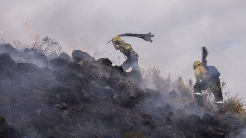Los Ángeles suma el tercer incendio forestal en lo que va del año