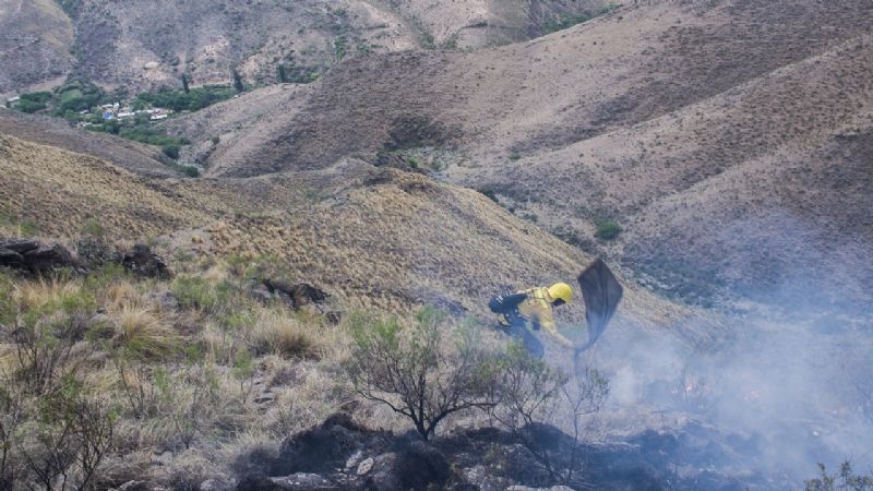 Los Ángeles suma el tercer incendio forestal en lo que va del año