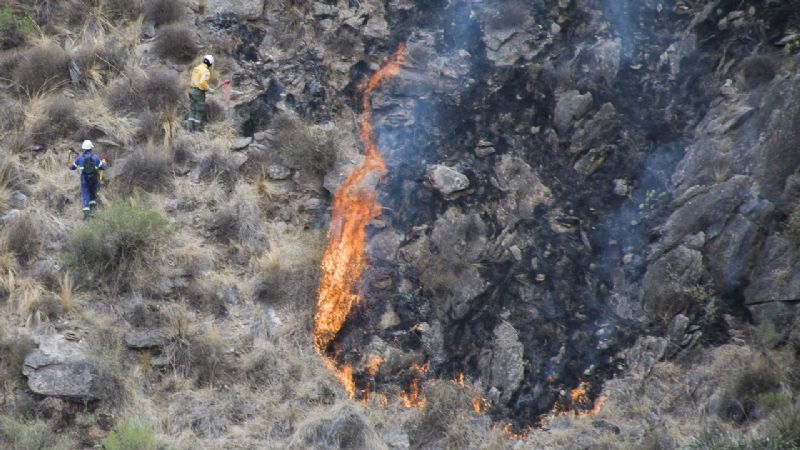 Los Ángeles suma el tercer incendio forestal en lo que va del año