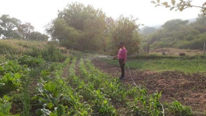 Pampichuela, la localidad jujeña que le ganó a la pandemia