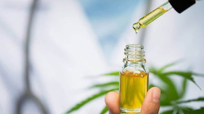 Legalizan el autocultivo de cannabis y la venta de aceite en farmacias