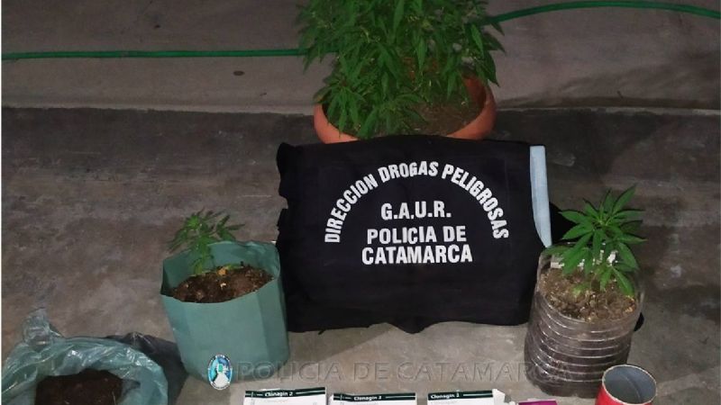 Perros adiestrados encontraron cuatro envoltorios y un cigarrillo de marihuana