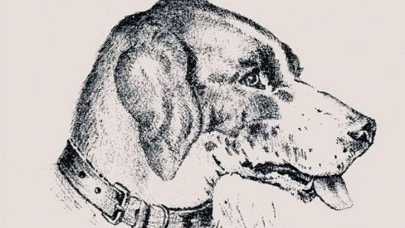 Enigmático desafío visual: ¿dónde está el hombre?