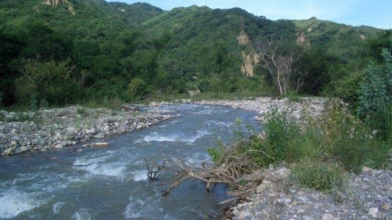 Expertos del CONICET encuentran coronavirus en al menos tres ríos