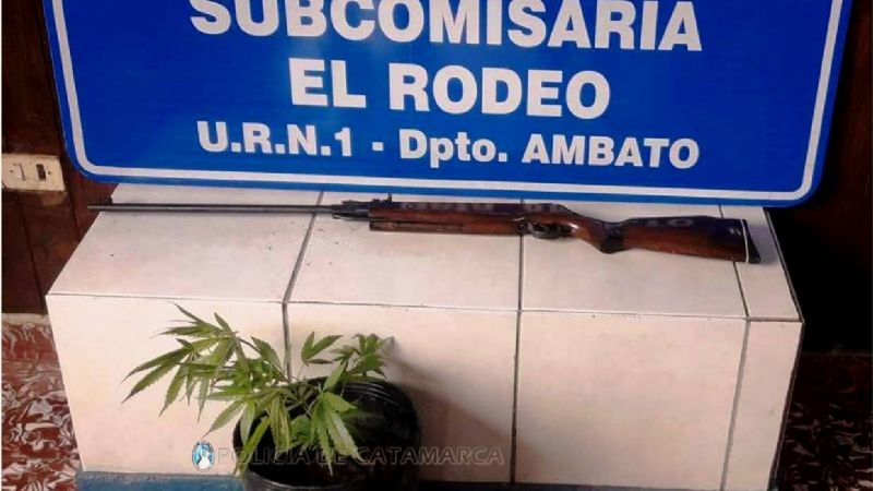 Recuperan un rifle y secuestran una planta de marihuana en El Rodeo