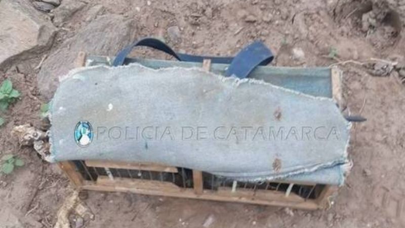 Secuestran una moto y aves canoras en El Alto