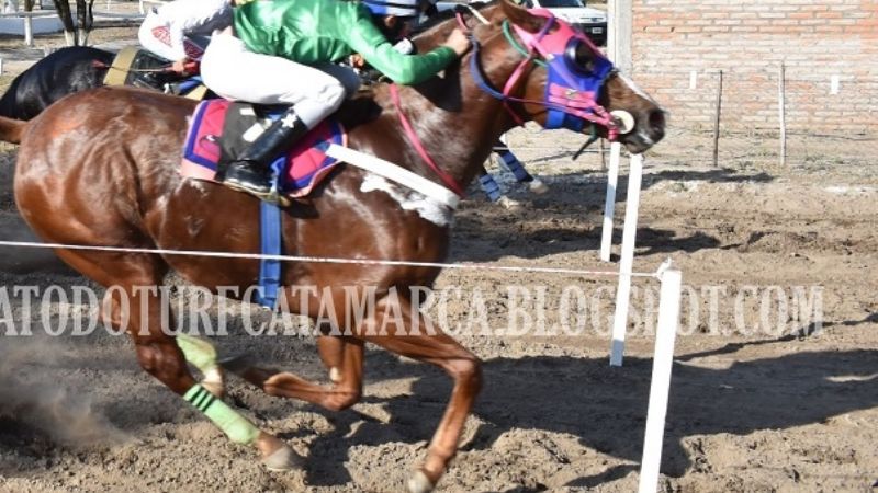 Exitosa vuelta del turf lugareño al Hipódromo Catamarca