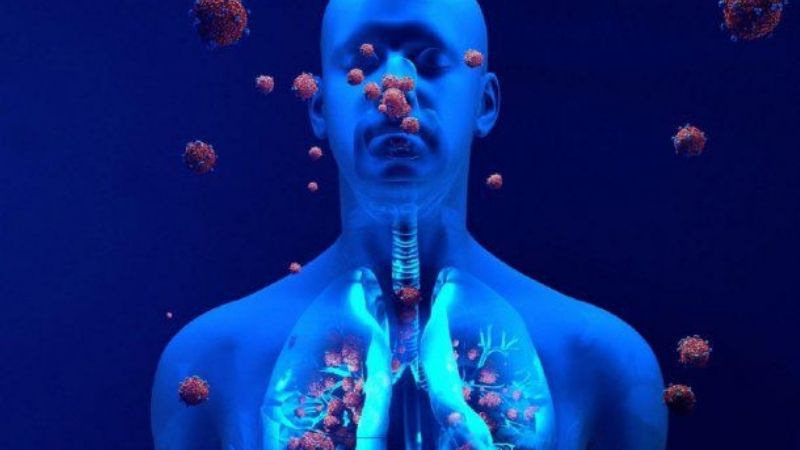 Un nuevo estudio sugiere que la inmunidad al coronavirus podría durar años