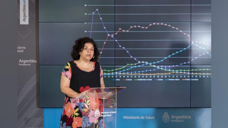 Vizzotti: "El 66% del personal de salud está dispuesto a recibir la vacuna"