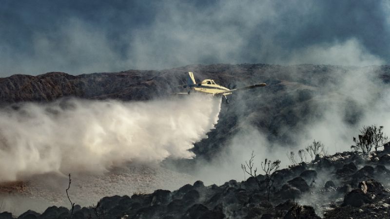 Más de 32 mil hectáreas quemadas en lo que va del año