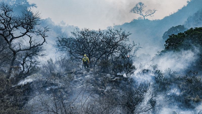 Más de 32 mil hectáreas quemadas en lo que va del año