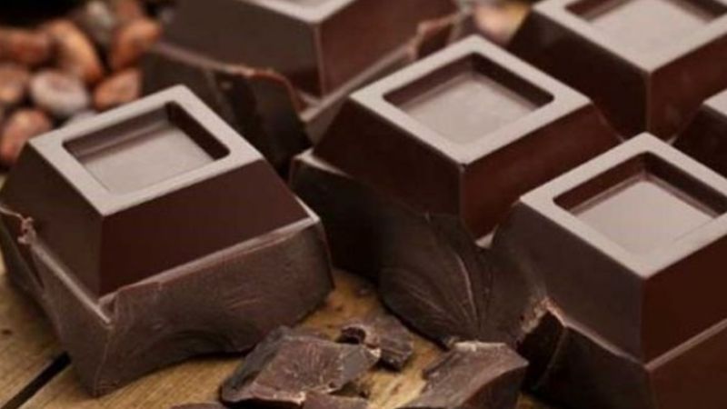¿Por qué los perros no deben comer chocolate?