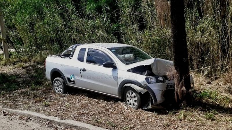 Chocó contra un árbol
