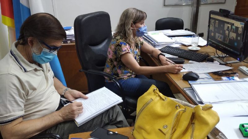 Reunión virtual de la Comisión Sanitaria