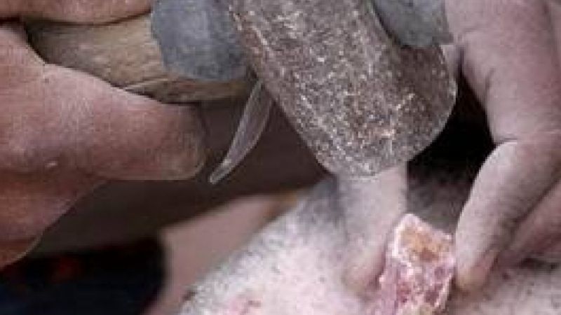 Minería solicitó a Nación financiamiento para artesanos y ladrilleros