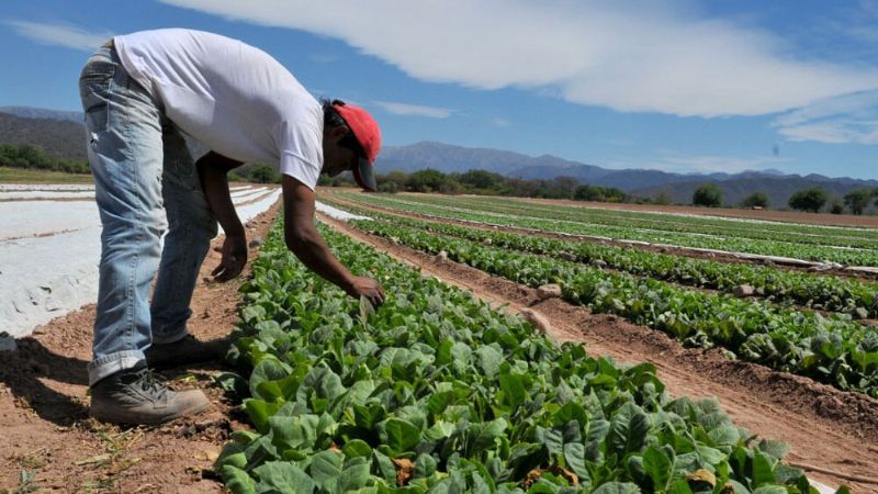 Se acreditaron casi 30 millones para tabacaleros