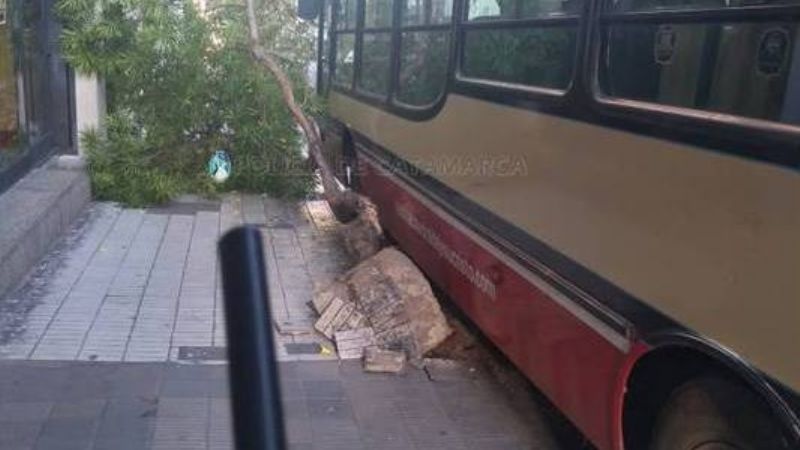 Colectivero perdió el control y chocó contra un árbol en el centro