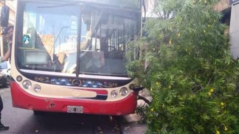 Colectivero perdió el control y chocó contra un árbol en el centro