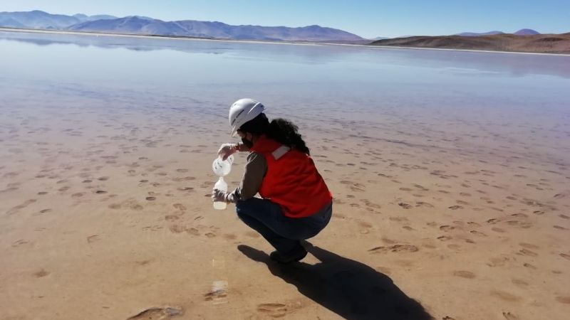 Monitoreos ambientales en emprendimientos de litio