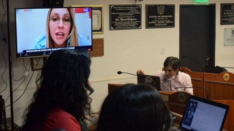 "Hablemos de todo", a un paso de ser ley