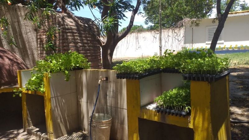 Suman esfuerzos en la lucha contra el hambre