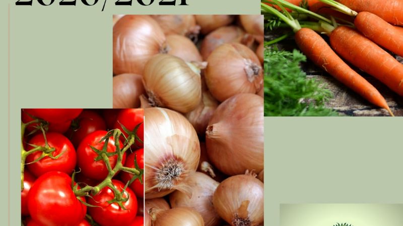 Acordaron valores para la cosecha de zanahoria y cebolla