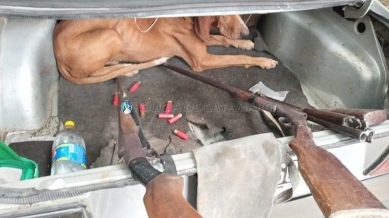 Detenido con armas y un perro de caza