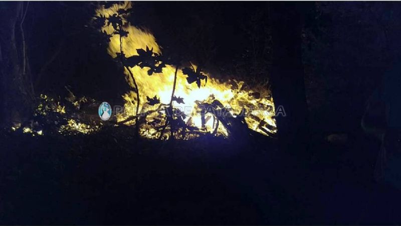 Incendio de pastizales y de un carro de comidas rápidas