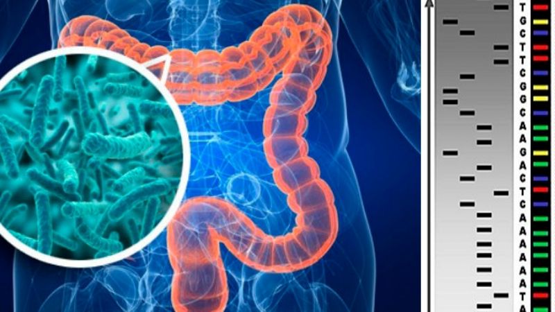 Analizan el vínculo entre el microbioma y el Cáncer de Colon