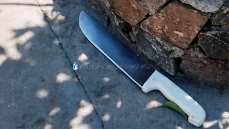 Ingresaron a una casa, provocaron destrozos y amenazaron a una mujer