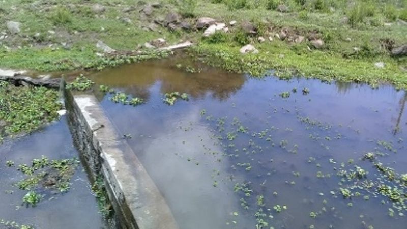 En la Villa de Ipizca el agua es intomable